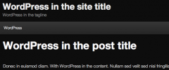 WordPress CamelCase Zealot screenshot 1