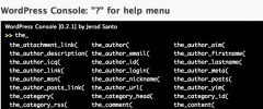 WordPress Console screenshot 2