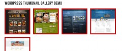 Wordpress Gallery Plugin screenshot 2