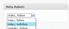 WordPress Meta Robots screenshot 1