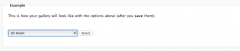 WordPress NextGen GalleryView screenshot 6