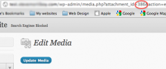 Wordpress Random Image screenshot 1