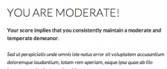 Wordpress Simple Survey screenshot 4