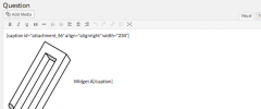 Wordpress Simple Survey screenshot 9