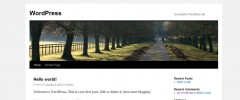 Wordpress Sliding Drawer Plugin screenshot 3