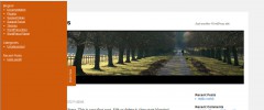 Wordpress Sliding Drawer Plugin screenshot 8