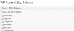 WP Accessibility screenshot 1