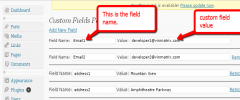 WP Admin Custom Fields screenshot 1