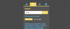 WP Ajax Search Widget screenshot 1