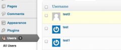 WP Approve User screenshot 4
