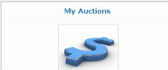 WordPress Auction Plugin screenshot 5