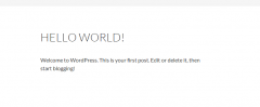 WP Author, Date and Meta Remover screenshot 3
