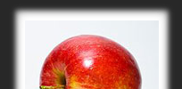 WP Calories screenshot 1