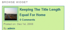 WP Category Post List Widget screenshot 4