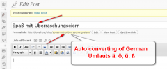 wp-cleanumlauts2 screenshot 1