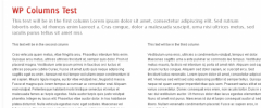 WP Columns screenshot 2