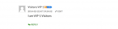 WP Comments VIP screenshot 1
