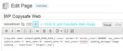 CopySafe Web Protection screenshot 1