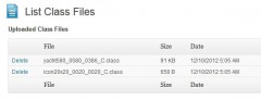 CopySafe Web Protection screenshot 4