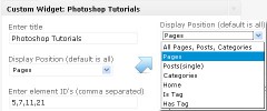 WordPress Custom Widget screenshot 1