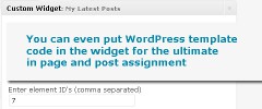 WordPress Custom Widget screenshot 2