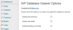 WP Database Cleaner screenshot 1