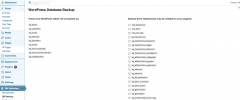 WP-Database-Optimizer-Tools screenshot 3
