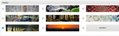 WP Display Header screenshot 1