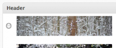 WP Display Header screenshot 2