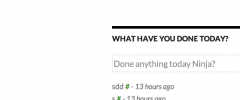 WP Done This screenshot 2