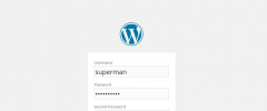 WP Double Protection screenshot 1
