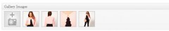 WP e-Commerce Dynamic Gallery screenshot 3