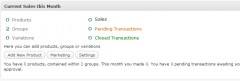 WP E-Commerce Right Now screenshot 1