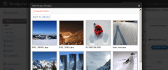 WP Esprit Picasa screenshot 4