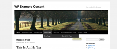 WP Example Content screenshot 2