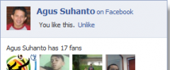 Facebook Fan Box Widget screenshot 1