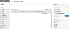 WP Fiddle screenshot 2