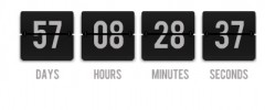 Wordpress Flash Countdown screenshot 3