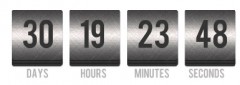 Wordpress Flash Countdown screenshot 4