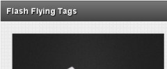 Wordpress Flash Tag Cloud screenshot 3
