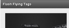 Wordpress Flash Tag Cloud screenshot 4