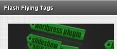 Wordpress Flash Tag Cloud screenshot 5
