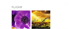 WP Flickr Widget screenshot 1
