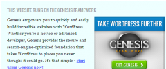 WP Genesis Box screenshot 2