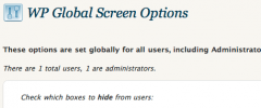 WP Global Screen Options screenshot 1