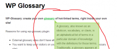 WP Glossary screenshot 1