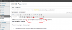 WP Glossary screenshot 2