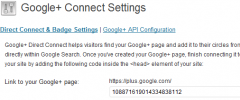 WP Google Plus Connect screenshot 1