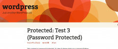 WP Hidden Password Protected Pages screenshot 1