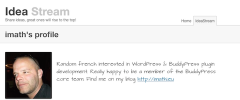 WP Idea Stream screenshot 1